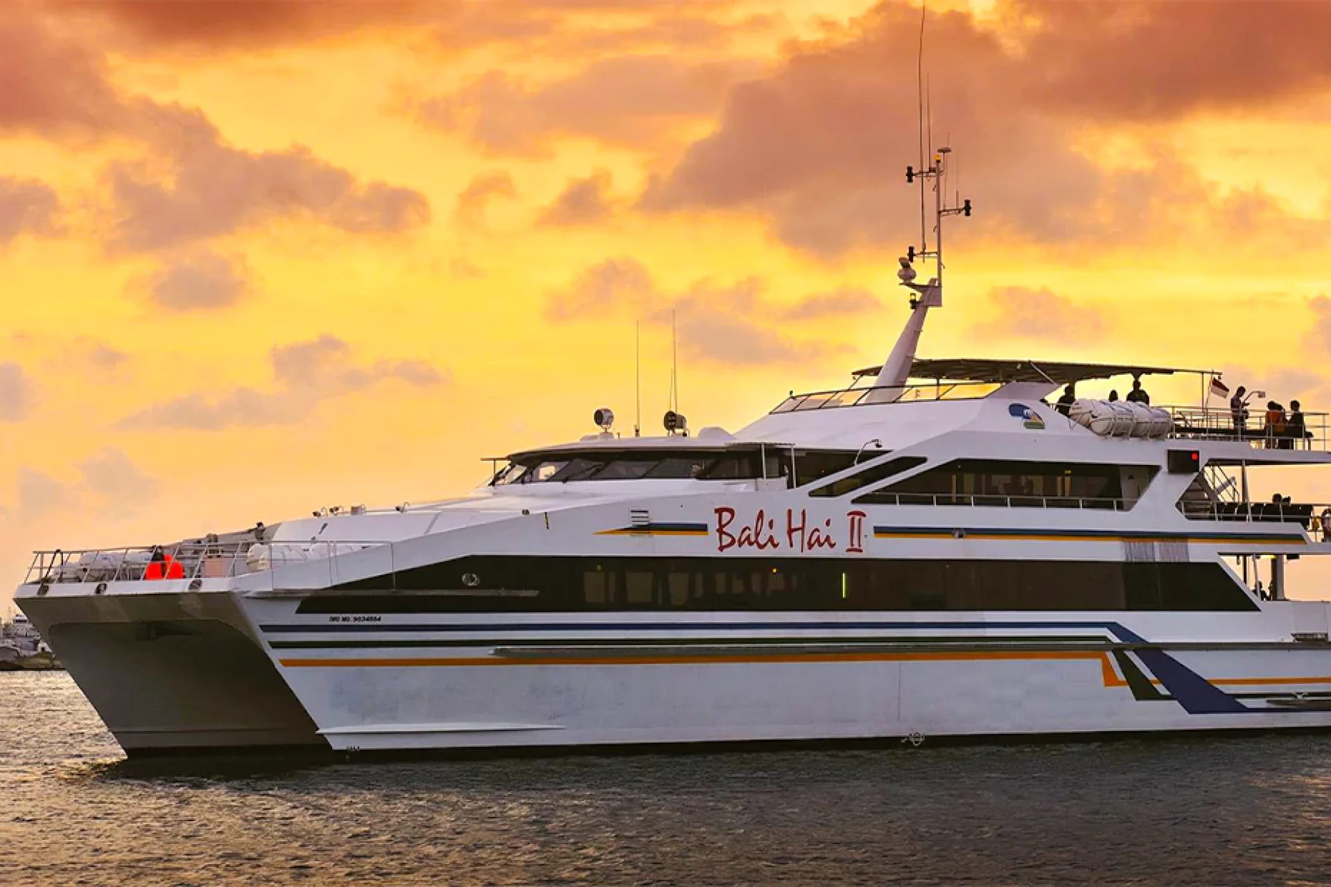 cruise2