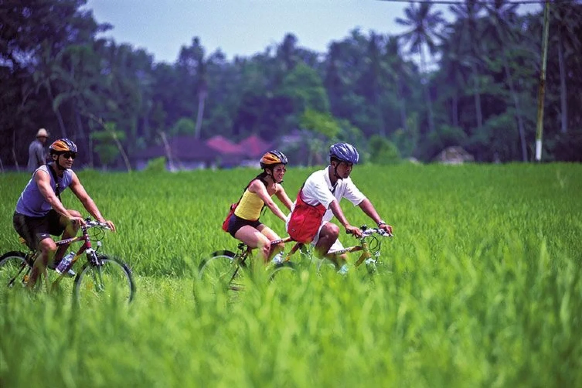 cycling2