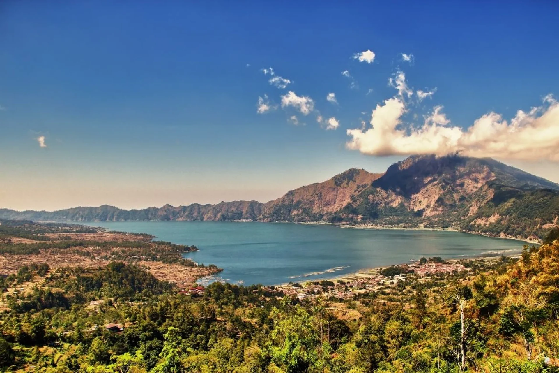 kintamani1