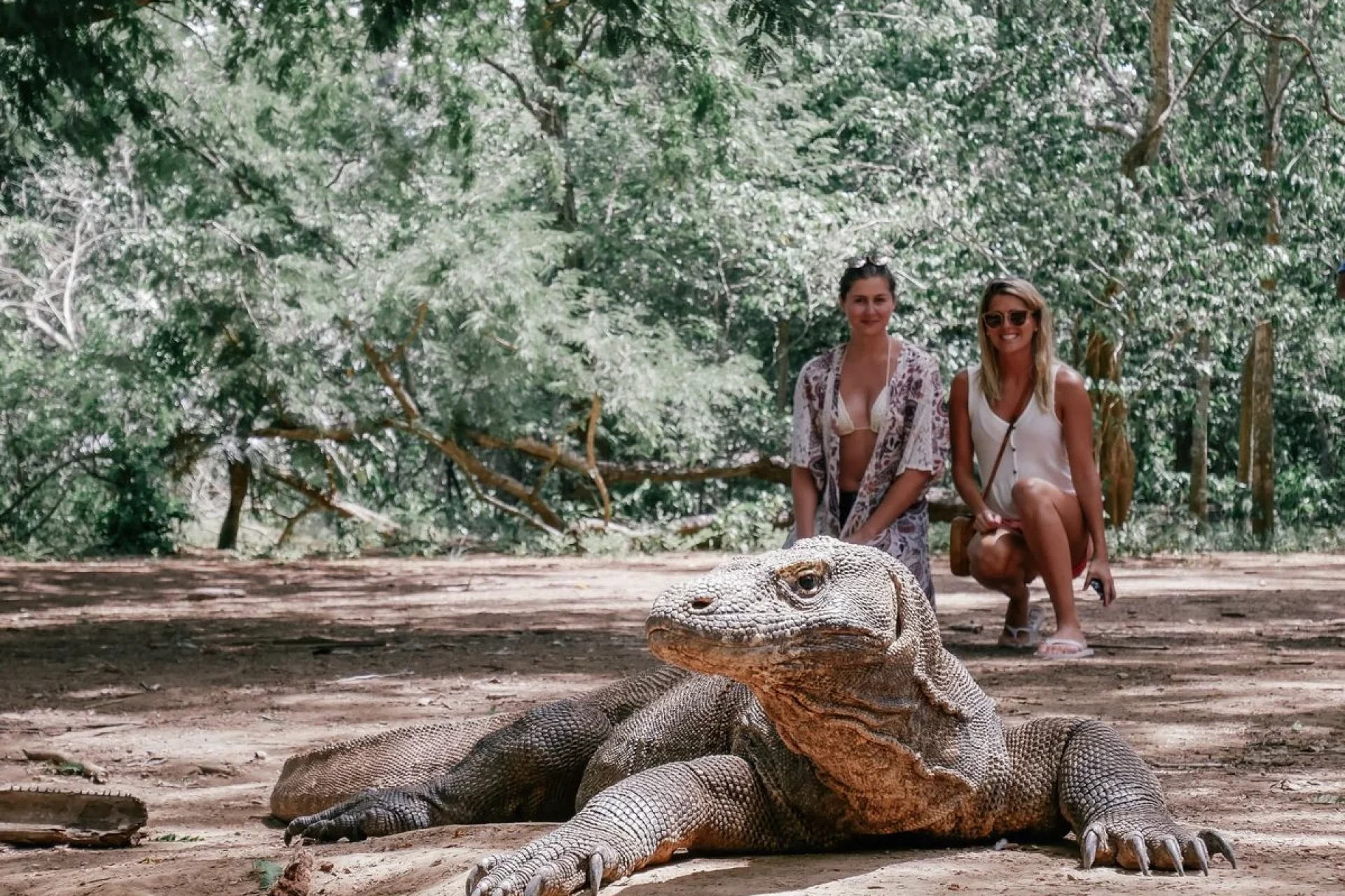 komodo1