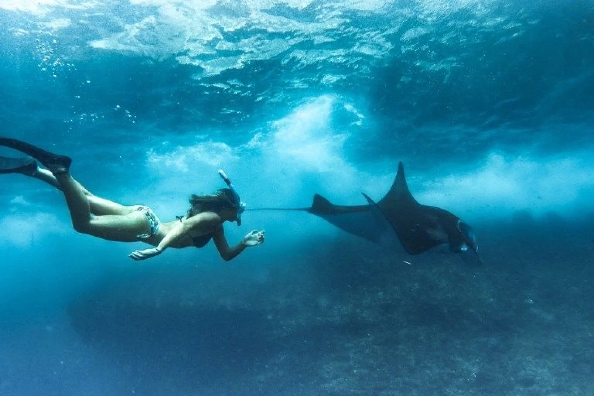 manta